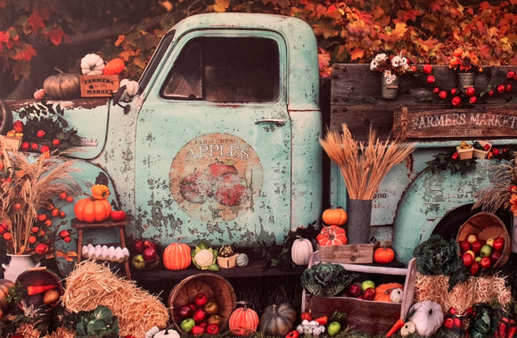 Fall/Veterans Selfie Stroll